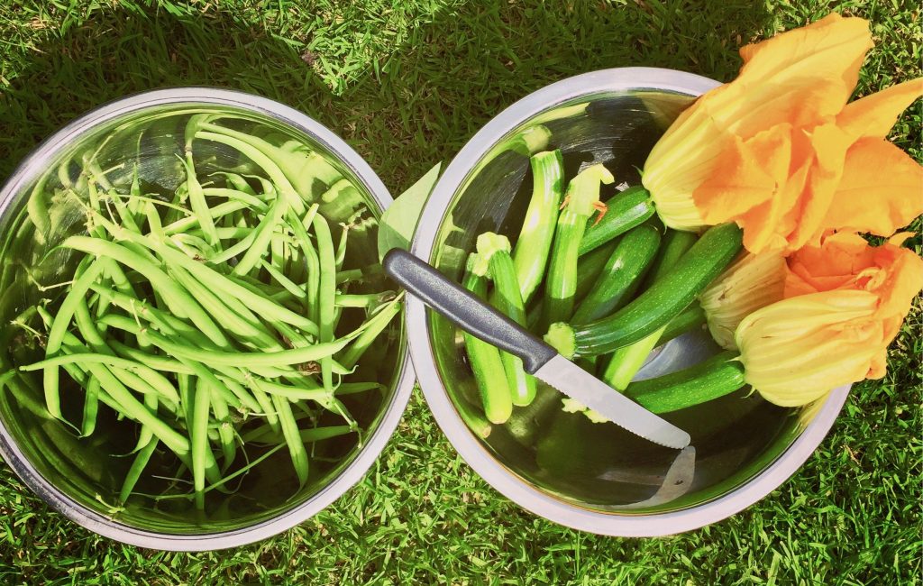 An image of a bowl of courgettes and green beans